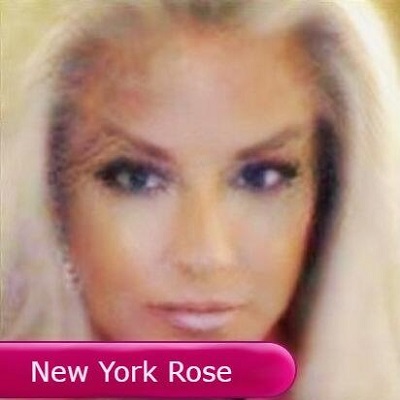 New York Rose